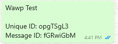 Unique Message IDs Example
